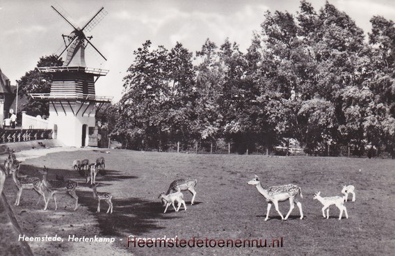 molen